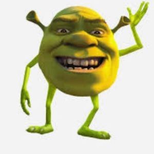 Meet your Posher, Gavin